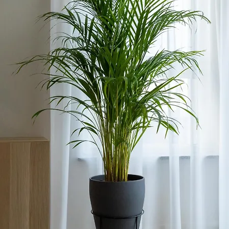 King Galaxy Apartament