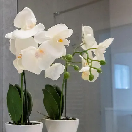 King Galaxy Apartament Szczecin