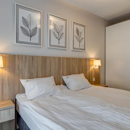 King Galaxy * Щецин